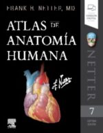 Netter Atlas de anatomía humana 7ed