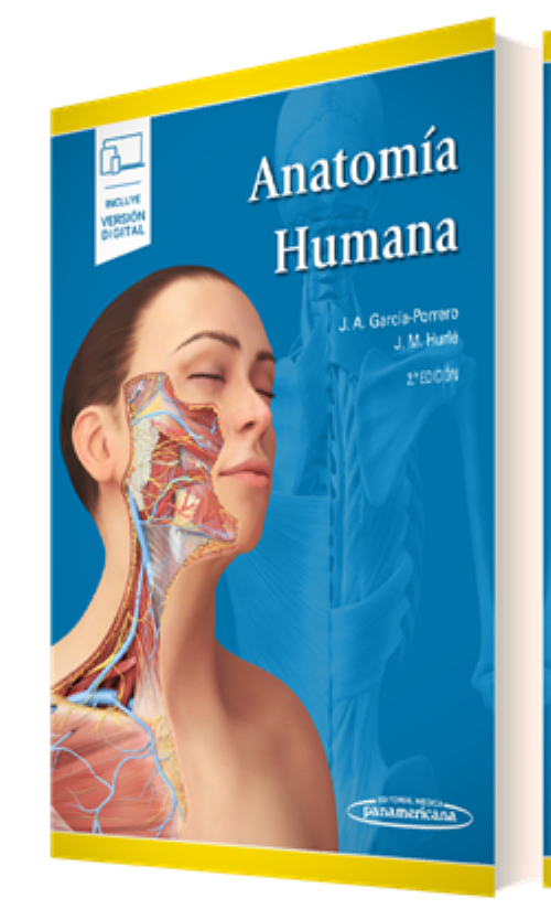 Anatomía Humana 2ed García Porrero Librería Del Medico 3973