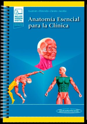 Guzman Anatomía esencial para la clínica