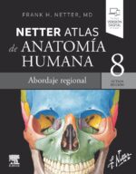 Netter. Atlas de anatomía humana 8ed